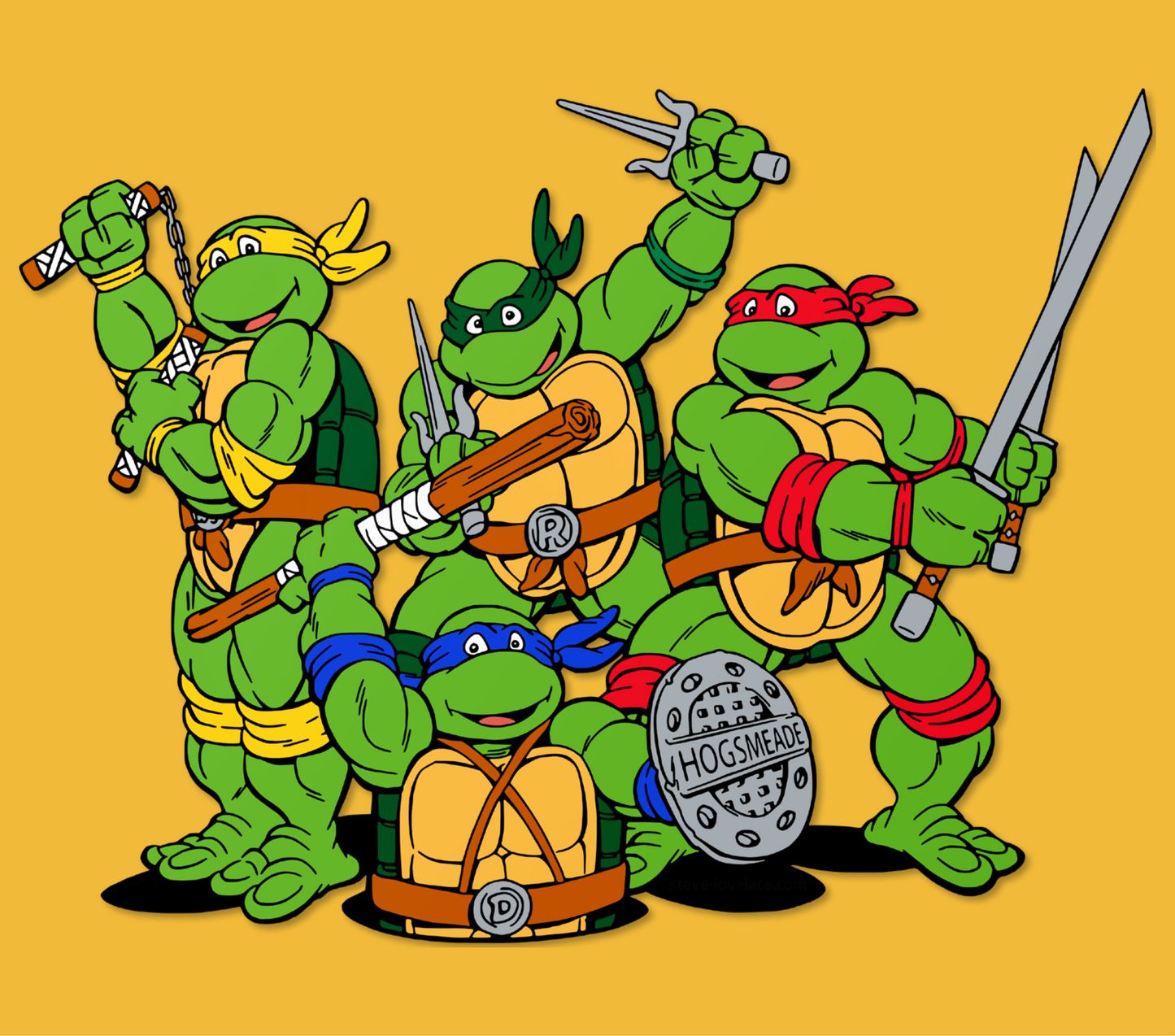 Teenage turtles 1